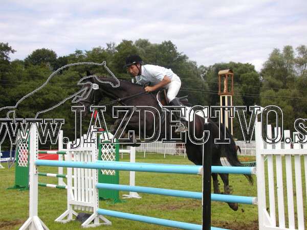 ZLATA PODKOVA XXV. STROPKOV