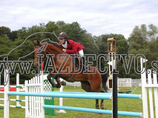 ZLATA PODKOVA XXV. STROPKOV