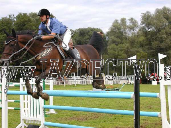 ZLATA PODKOVA XXV. STROPKOV