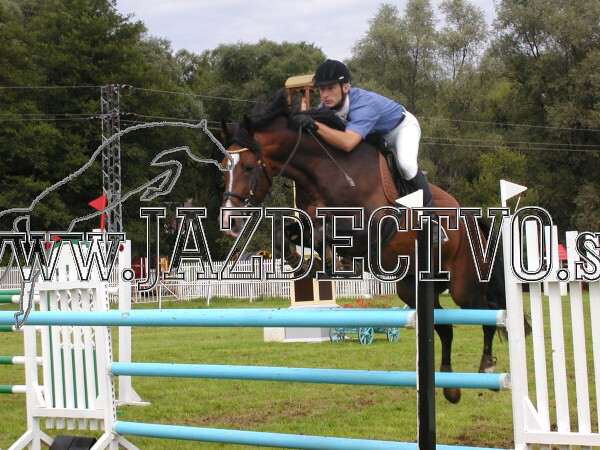 ZLATA PODKOVA XXV. STROPKOV