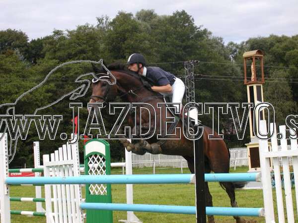 ZLATA PODKOVA XXV. STROPKOV