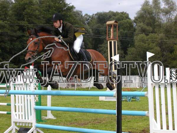 ZLATA PODKOVA XXV. STROPKOV