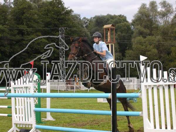 ZLATA PODKOVA XXV. STROPKOV