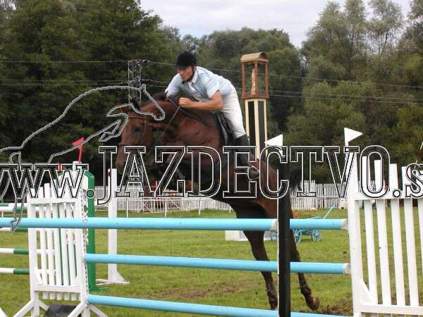 ZLATA PODKOVA XXV. STROPKOV