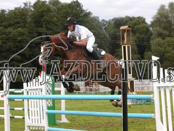 ZLATA PODKOVA XXV. STROPKOV