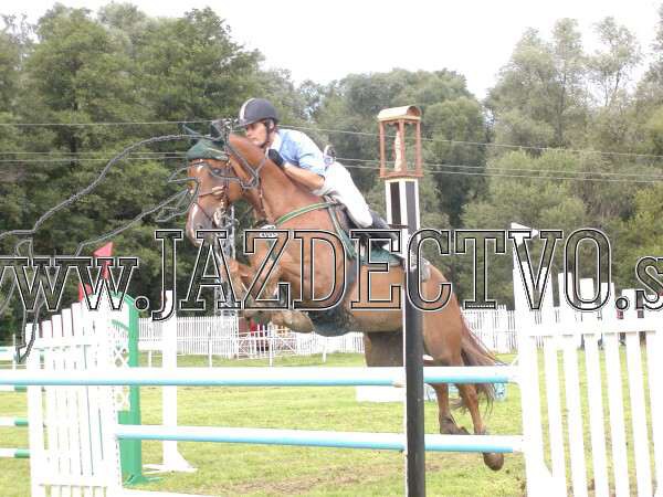 ZLATA PODKOVA XXV. STROPKOV