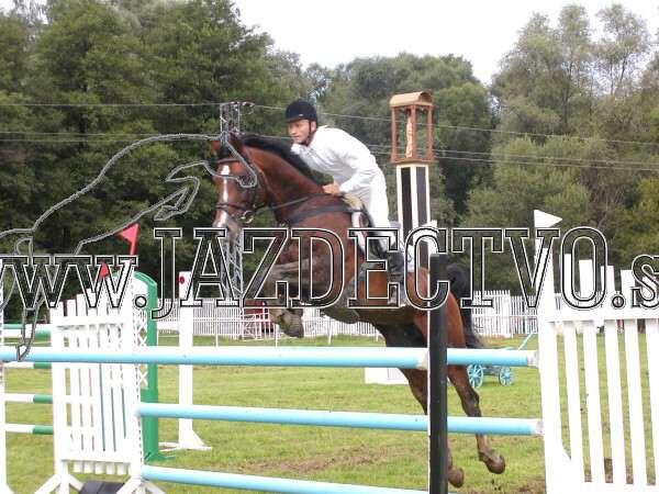 ZLATA PODKOVA XXV. STROPKOV