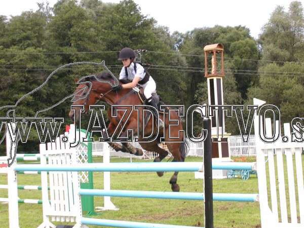 ZLATA PODKOVA XXV. STROPKOV