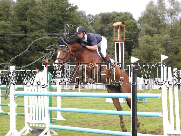 ZLATA PODKOVA XXV. STROPKOV