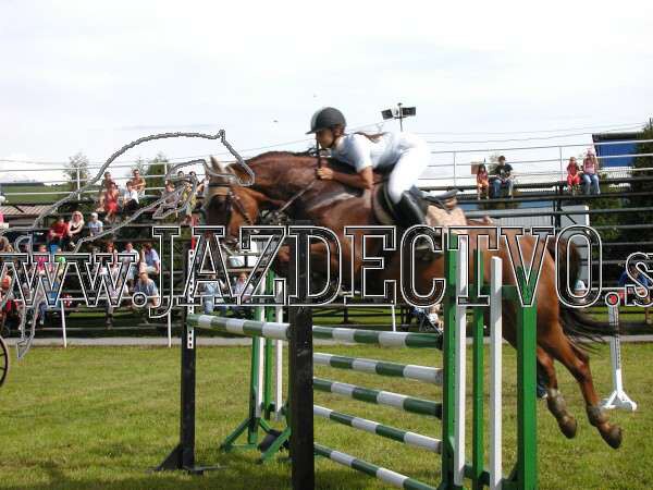 ZLATA PODKOVA XXV. STROPKOV