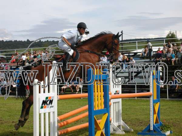 ZLATA PODKOVA XXV. STROPKOV