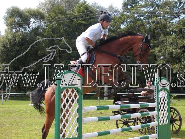 ZLATA PODKOVA XXV. STROPKOV