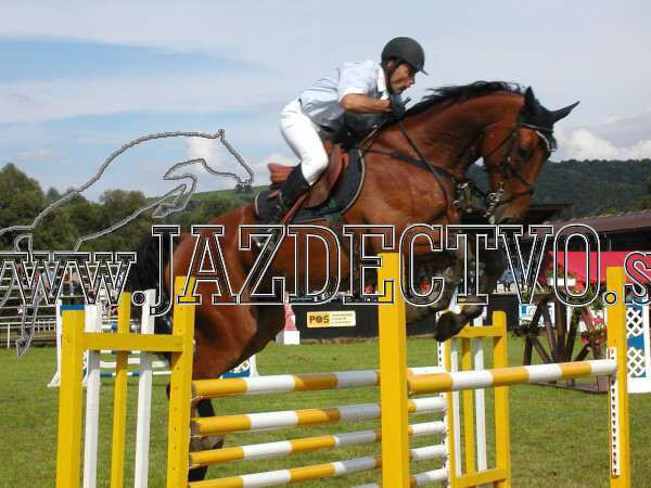 ZLATA PODKOVA XXV. STROPKOV