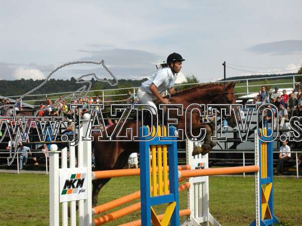 ZLATA PODKOVA XXV. STROPKOV