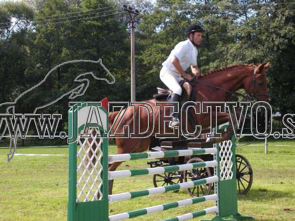 ZLATA PODKOVA XXV. STROPKOV