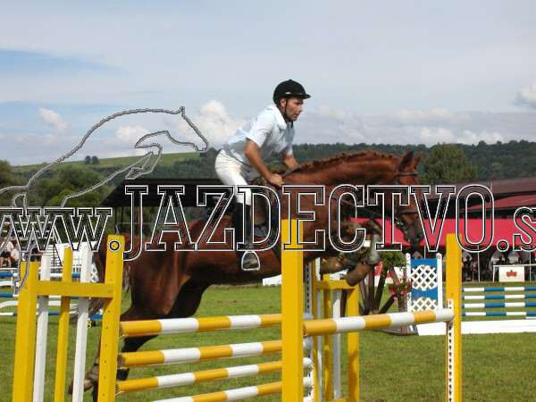 ZLATA PODKOVA XXV. STROPKOV