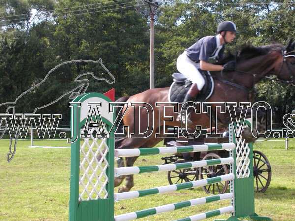 ZLATA PODKOVA XXV. STROPKOV