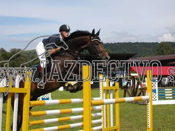 ZLATA PODKOVA XXV. STROPKOV