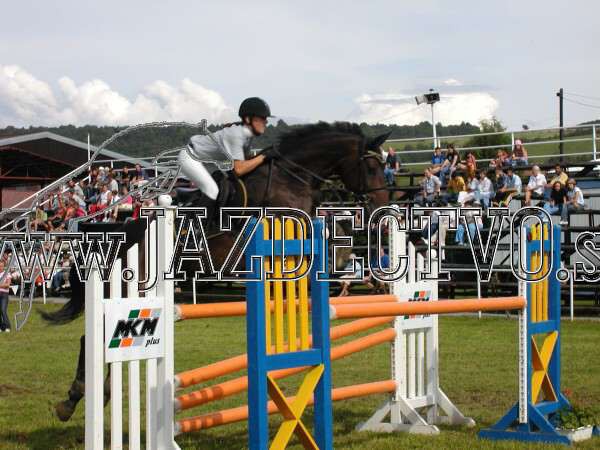 ZLATA PODKOVA XXV. STROPKOV