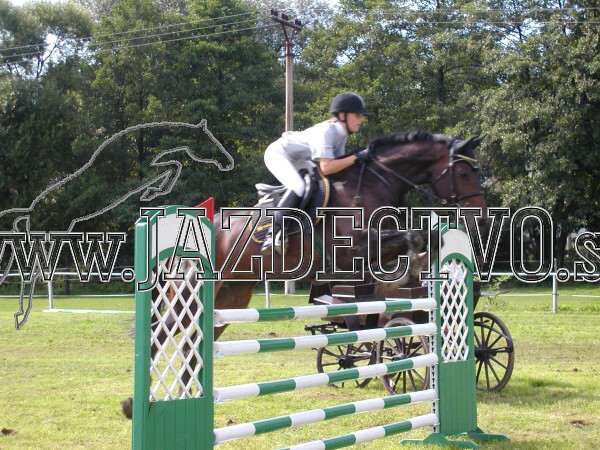 ZLATA PODKOVA XXV. STROPKOV