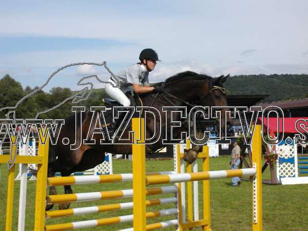 ZLATA PODKOVA XXV. STROPKOV