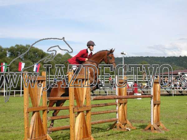 ZLATA PODKOVA XXV. STROPKOV