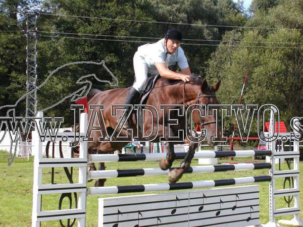 ZLATA PODKOVA XXV. STROPKOV