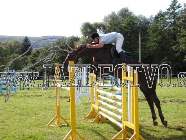 ZLATA PODKOVA XXV. STROPKOV