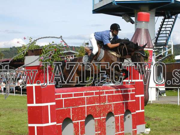 ZLATA PODKOVA XXV. STROPKOV