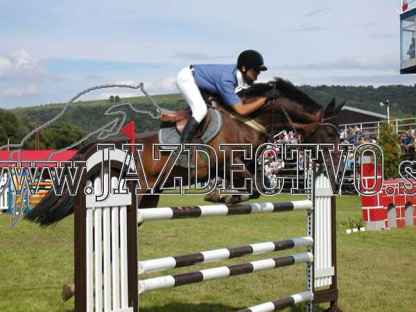 ZLATA PODKOVA XXV. STROPKOV