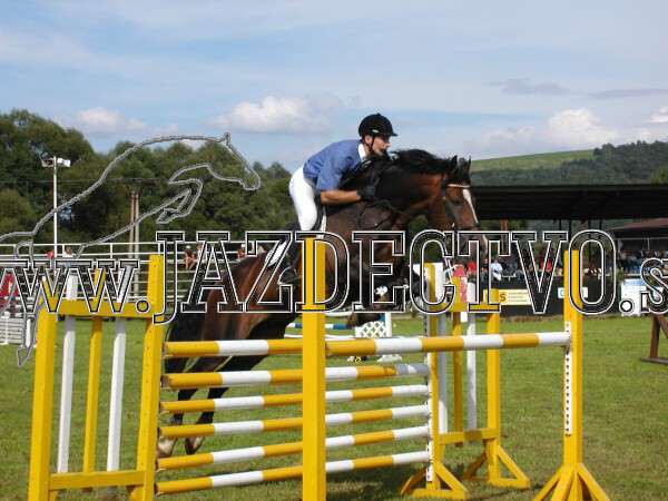 ZLATA PODKOVA XXV. STROPKOV