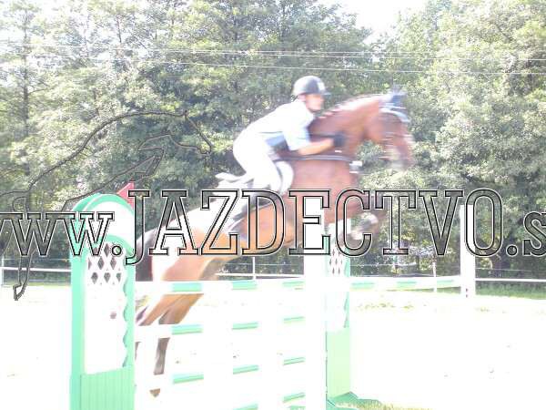 ZLATA PODKOVA XXV. STROPKOV