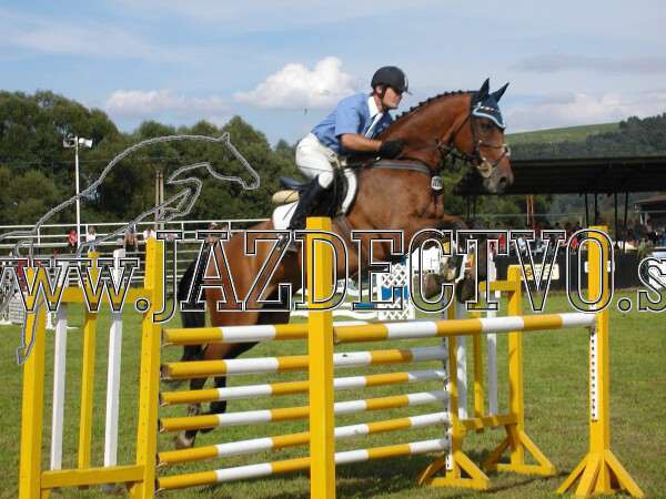 ZLATA PODKOVA XXV. STROPKOV