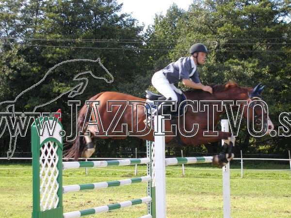 ZLATA PODKOVA XXV. STROPKOV