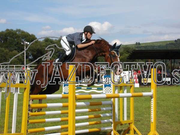 ZLATA PODKOVA XXV. STROPKOV