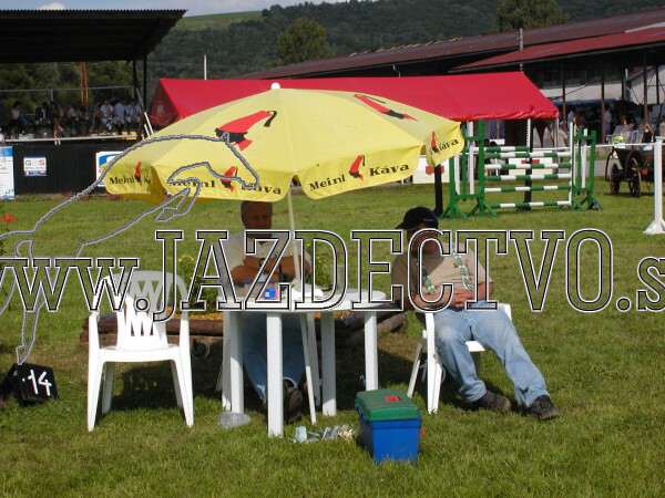 ZLATA PODKOVA XXV. STROPKOV