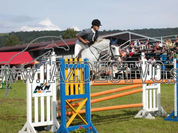 ZLATA PODKOVA XXV. STROPKOV