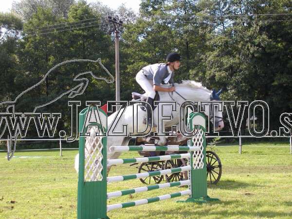 ZLATA PODKOVA XXV. STROPKOV