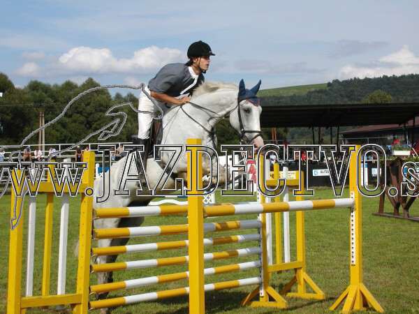 ZLATA PODKOVA XXV. STROPKOV