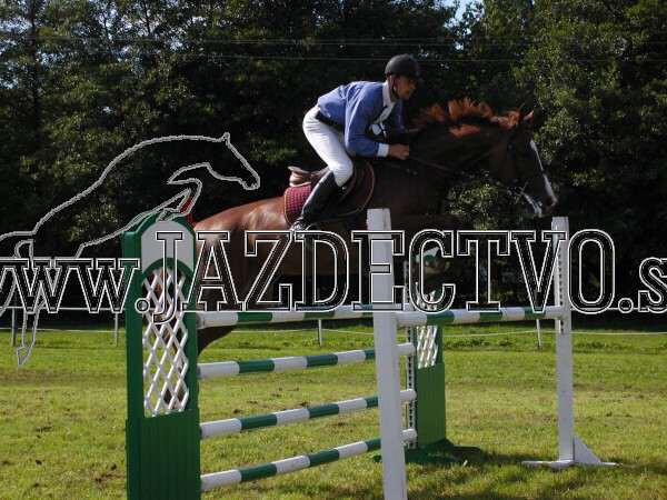 ZLATA PODKOVA XXV. STROPKOV