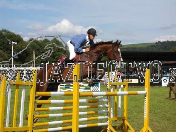 ZLATA PODKOVA XXV. STROPKOV