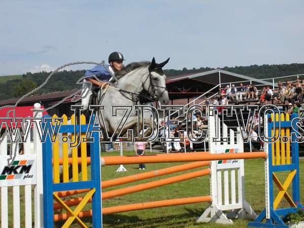 ZLATA PODKOVA XXV. STROPKOV