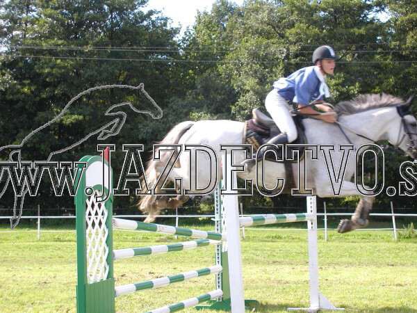 ZLATA PODKOVA XXV. STROPKOV