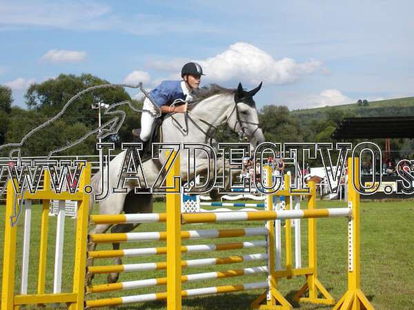 ZLATA PODKOVA XXV. STROPKOV