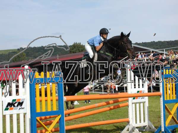 ZLATA PODKOVA XXV. STROPKOV