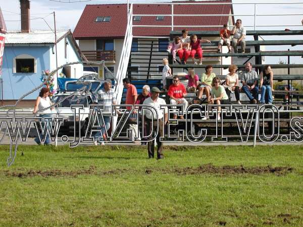 ZLATA PODKOVA XXV. STROPKOV