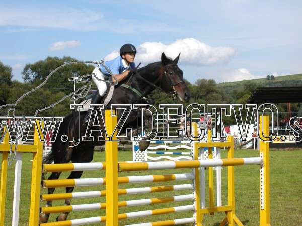 ZLATA PODKOVA XXV. STROPKOV