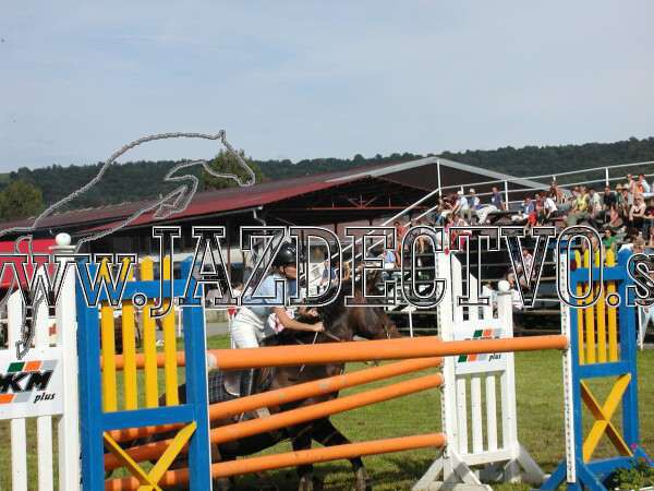 ZLATA PODKOVA XXV. STROPKOV