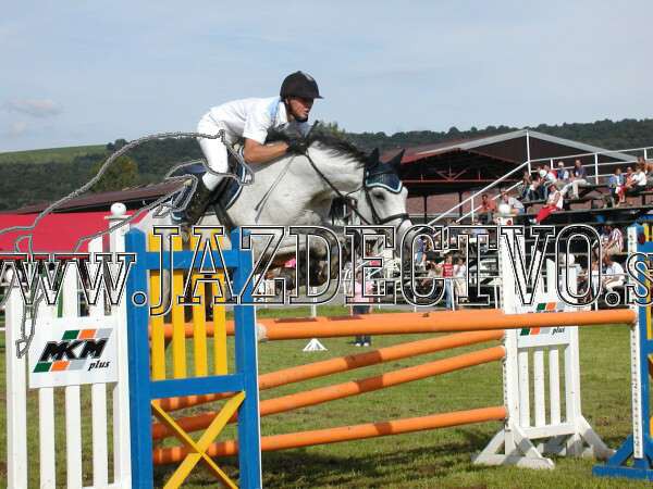 ZLATA PODKOVA XXV. STROPKOV