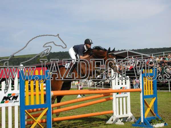 ZLATA PODKOVA XXV. STROPKOV